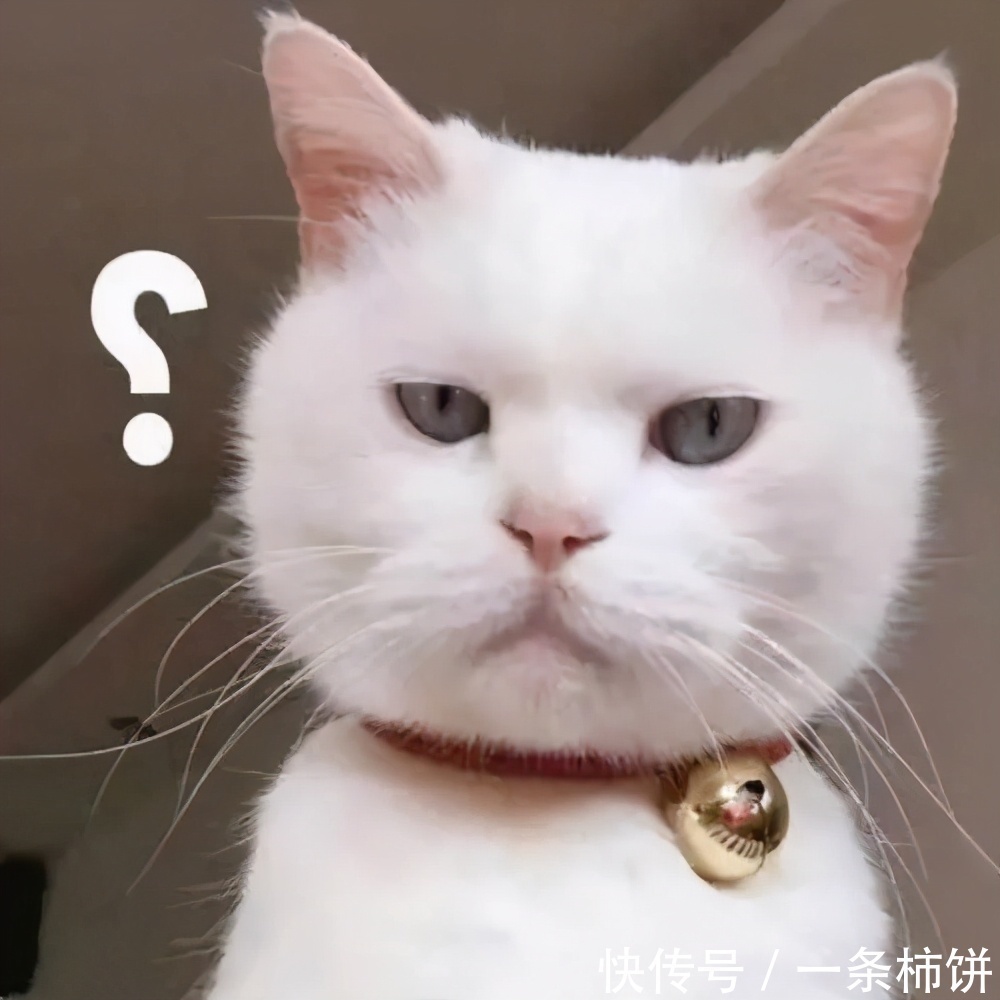 皮肤|小测试:自己的肌龄有多大,小仙女们知道吗?你该注重护肤了