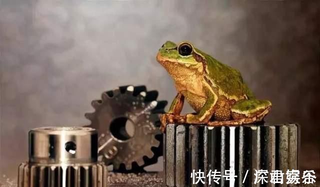 超写实主义@他画了一条金鱼,放大5倍后,网友大呼:相机可以扔了