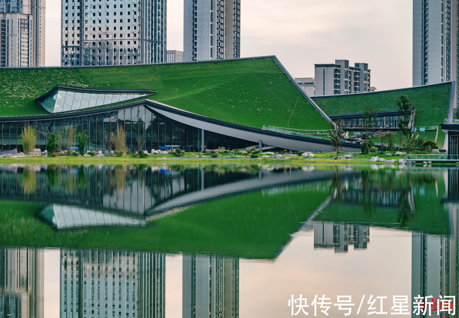 当代艺术！芙蓉花瓣千秋雪！成都市美术馆新馆开幕在即，灵感来源揭秘