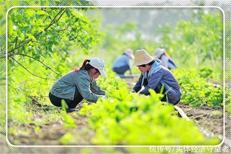 分析|现在有哪些行业，是未来不会被电商所取代的？分析一下