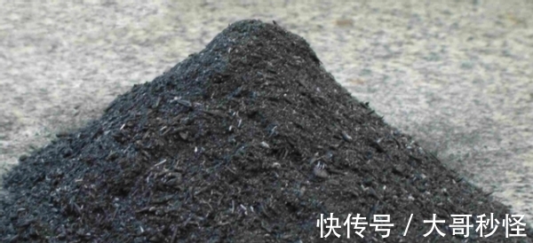 园艺新人适用的经验知识：将它们列入“养花配土”的原材料吧