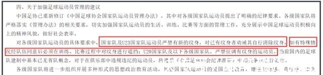 木乃伊|走后门了!“大花臂”张琳芃回归国足,新皮肤“木乃伊”闪亮登场