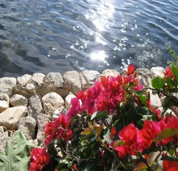 曾国藩诗10首:倚天照海花无数,流水高山心自知