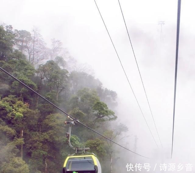 夏花|夏日秘境快来梵净山感受动画里的夏天！