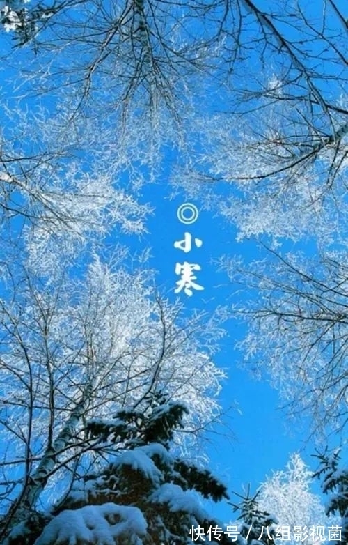 梅花饺!小寒时节,让我们一起走进诗词,感受属于“小寒”的那份韵味。