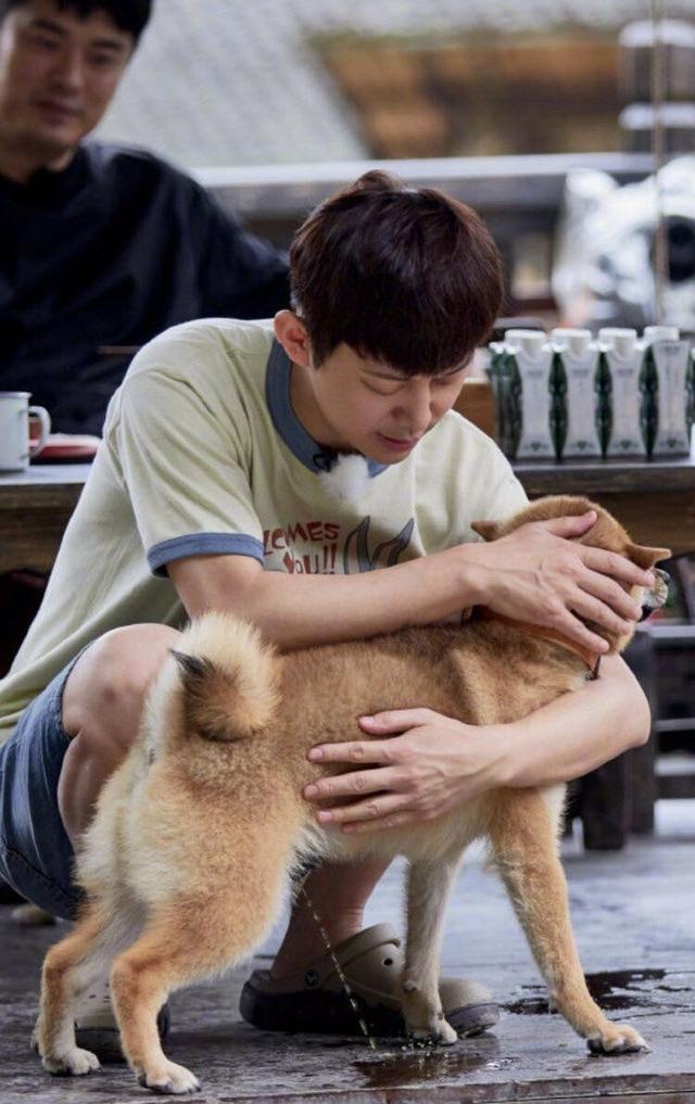 王一博|神奇的错位图!肖战杵拐杖,何炅随地小便,王一博王嘉尔亲上了?