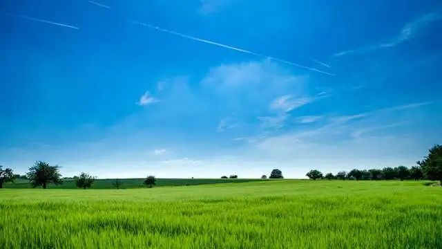 每日星座运势查询2021年1月13日(黑榜)