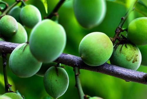 中年|女性要“美容瘦身”?多吃3物,滋阴排毒养颜,肤白貌美“赛天仙”