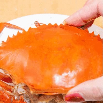 秋天|秋天最该常吃这三种肉,胜过吃补药!滋补身体,健康入冬!