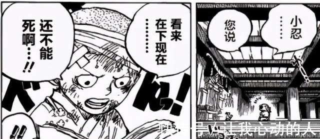 御田|海贼王1016话分析:第十人or烟雾弹