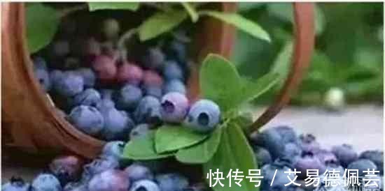 尿路感染|世界上公认十大健康水果 看看你吃过几种