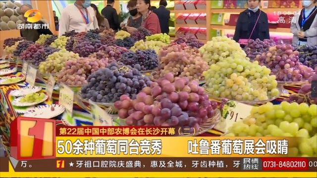 葡萄|农博会来啦！加“料”又加“味”，等你来打卡！