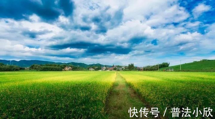 被征收人|补偿方式到底能不能选择?