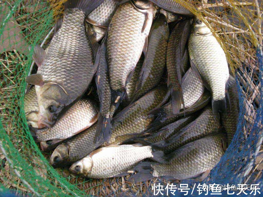 早春钓鱼就选这三种绝佳“天气”,不但上钩率高,渔获也有保证