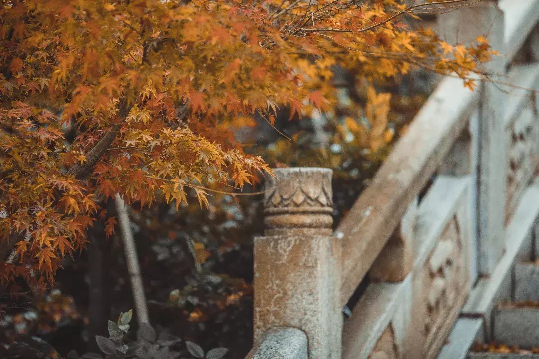 径山寺|金秋十月将至，这份余杭赏秋地图请收好！随手一拍都是大片！