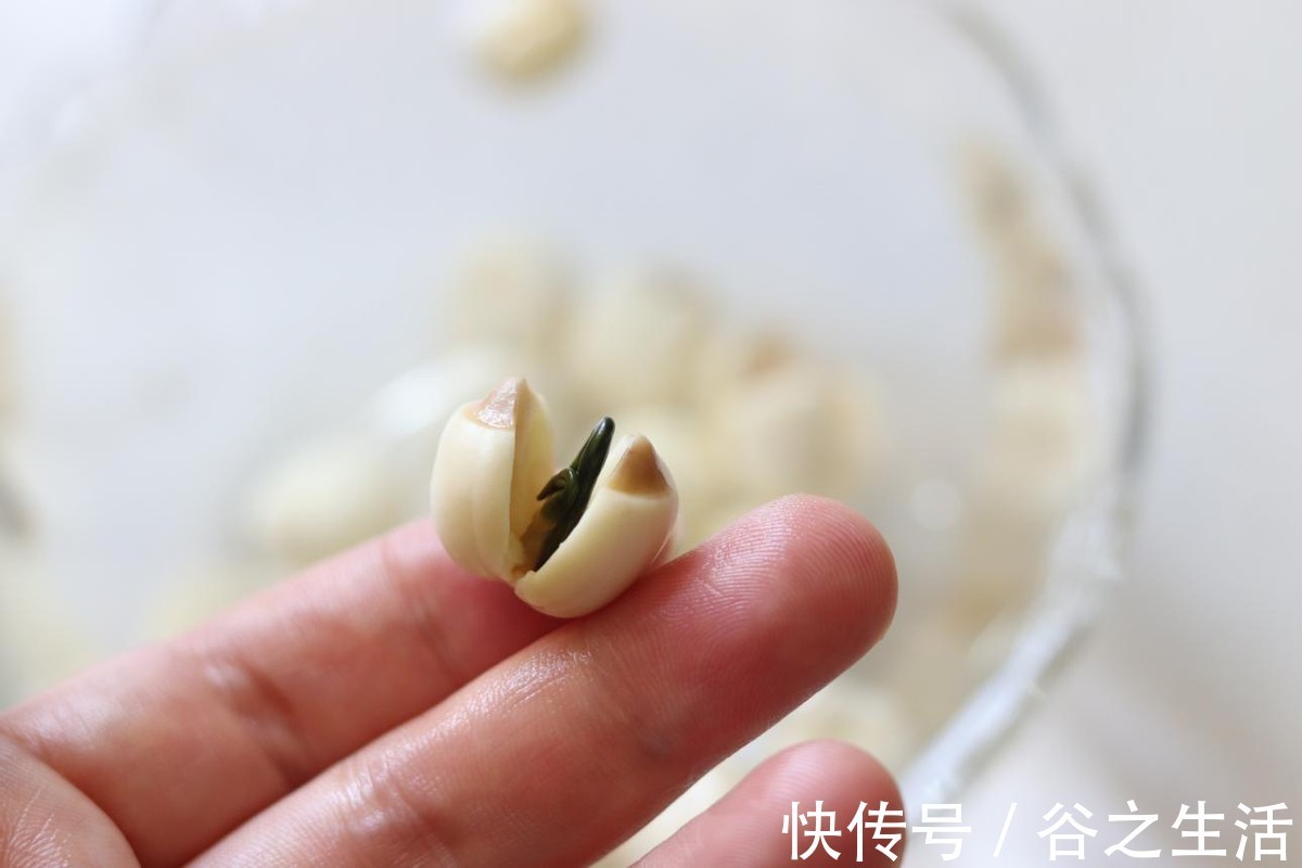 苹果|天热就多喝汤水,润燥补水,每天喝一碗,比喝水有效