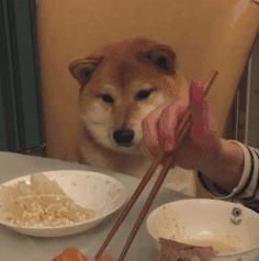 为什么钱变“薄”了？揭秘「通货膨胀」