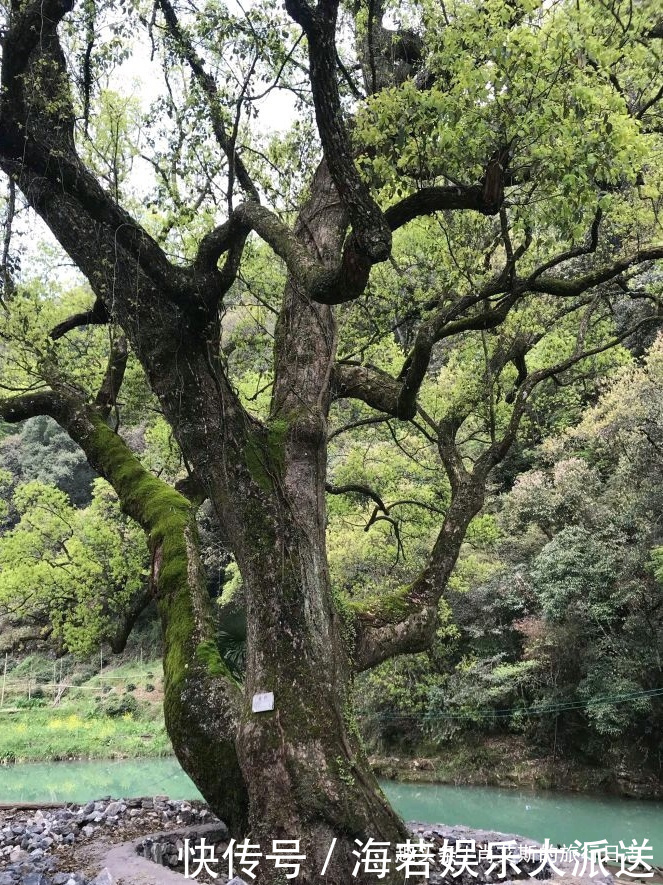 村落|中国最圆的古村落，被山水环抱似八卦图腾，藏在江西却鲜少有人知