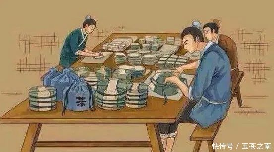 洗茶|玉苍之南:关于普洱茶的5大误区,你居然掉坑了?