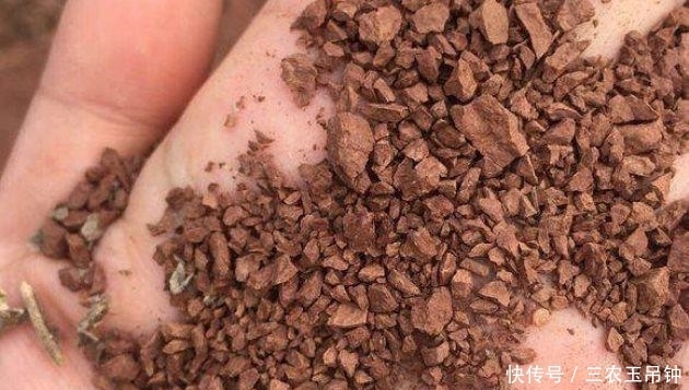 木糠|花盆土壤板结硬化怎么办? 无需换土, 轻松解决小技巧分享!