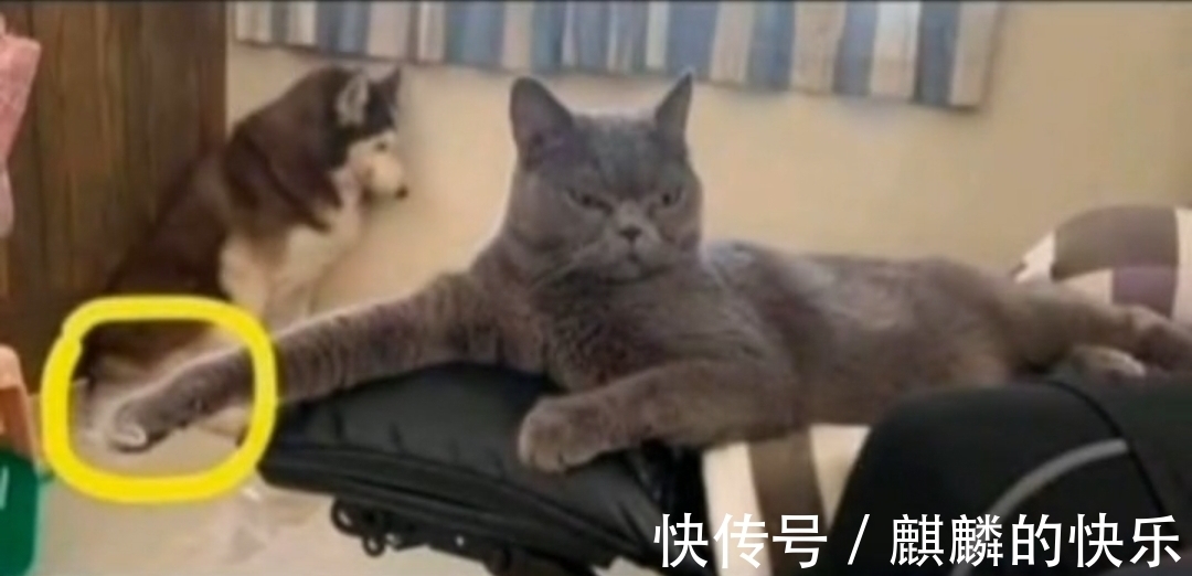 |搞笑图集:拖车拖着拖着车的拖车