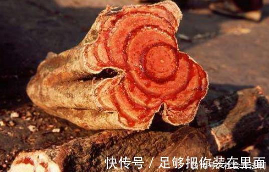 折磨|专治“腰疼”的中药方，腰不疼，腿不酸，让老人不受折磨