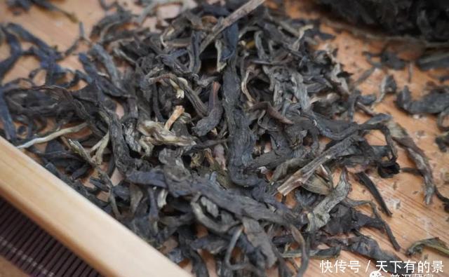 古树纯料|深度解析!纯料与拼配之争,哪个更好?