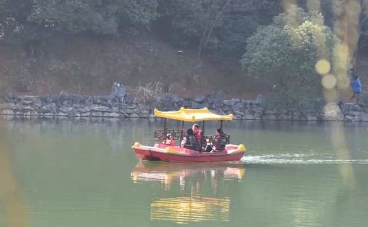 枝头|因为奋斗 常山在变丨景，火了！