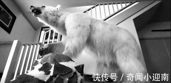 俄罗斯猪人是真的吗?认识那些真实存在的