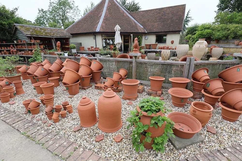  看完这个，想把家里花盆丢了