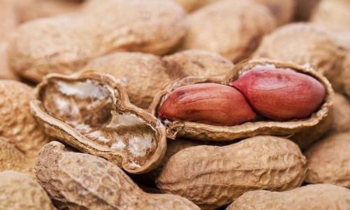 花生|花生和瓜子,一个降三高,一个长肉损健康,你真的会吃吗?