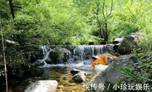 风景区|河南低调景区走红，素有“洛阳后花园”之称，距市中心179公里