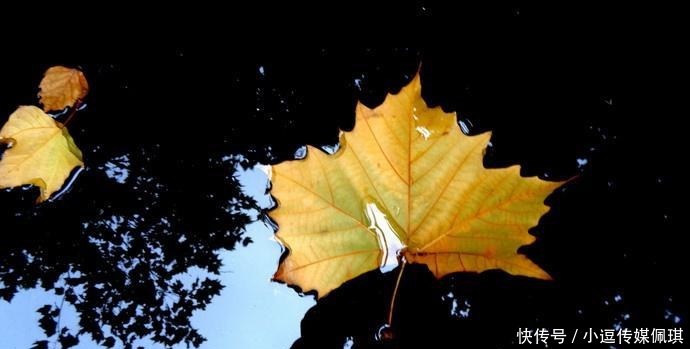  嗓音所发表|徐志摩教你听“话”！看了受益终身！