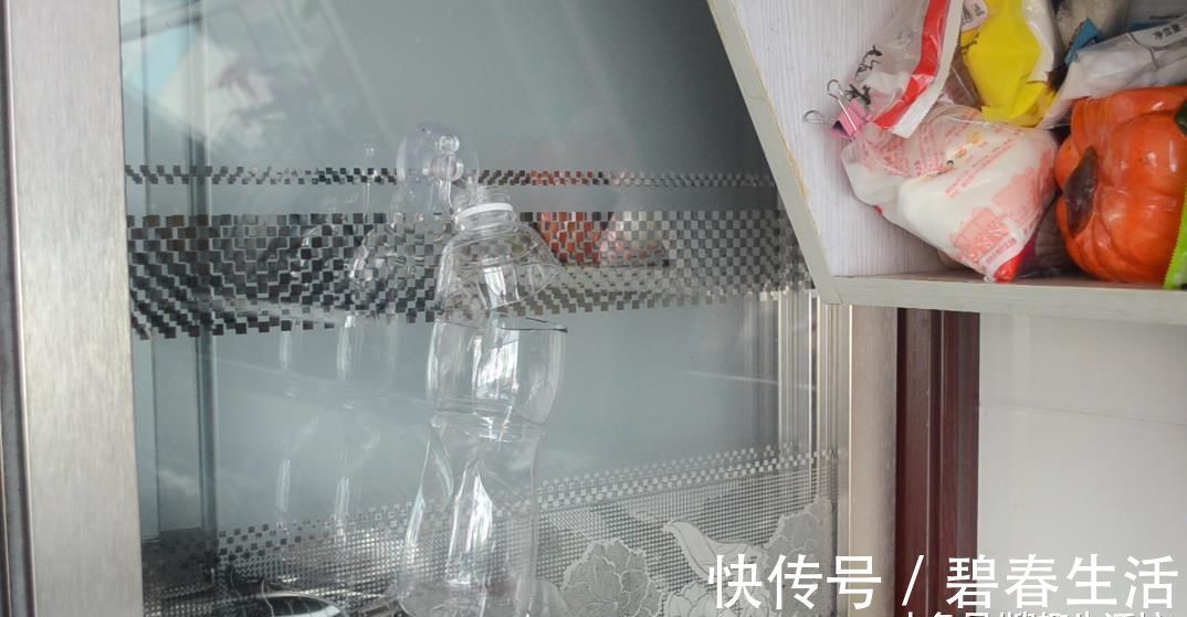 塑料瓶别再丢了, 剪几刀, 放在厨房有大用处, 家家户户都用得到