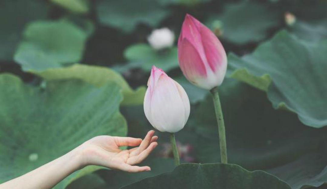 首相|晏几道失恋后写下的这首相思词,无一字不伤感,无一字不忧愁!