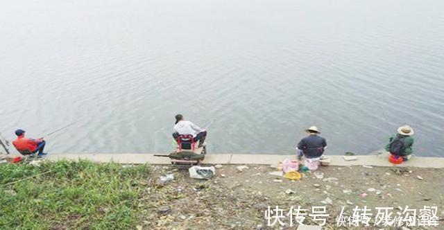 后脚|前脚放生鱼入水,后脚钓友下杆垂钓!垂钓者:我这是保护环境