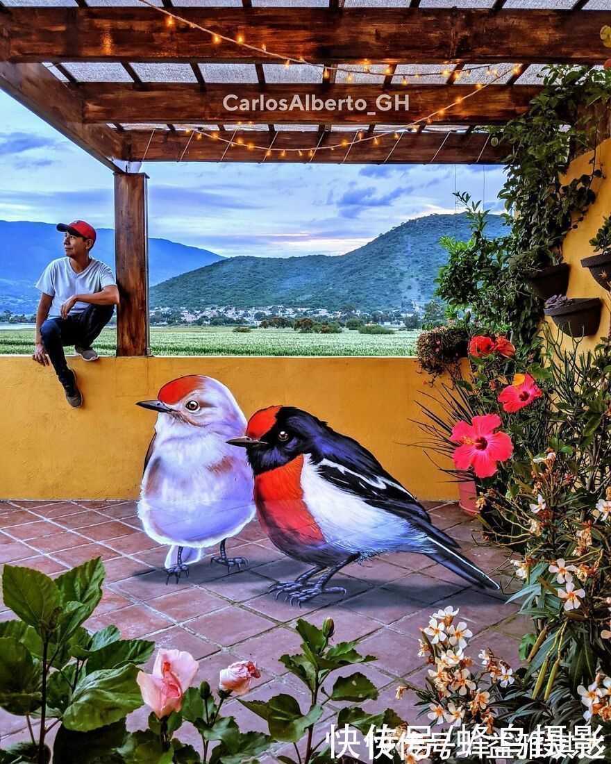 街头艺术|墨西哥版“神笔马良”!考古学家变3D画家,这些街头涂鸦帅爆了