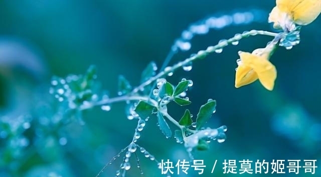 生肖狗|十二生肖中，年尾将有贵人无条件帮助，赚得财来福至的4大生肖