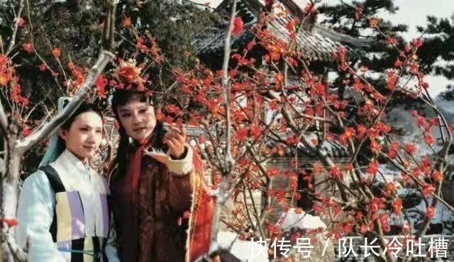 强盗|贾家败落后,妙玉被强盗半夜掳走,之后的她到底经历了什么?