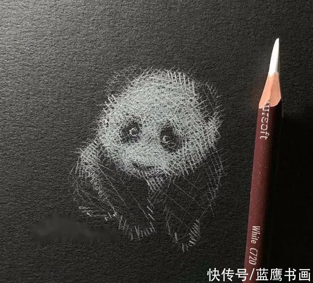  黑色|用白色铅笔在黑纸上画画，李羿慧寥寥几笔，却让人感到妙趣横生