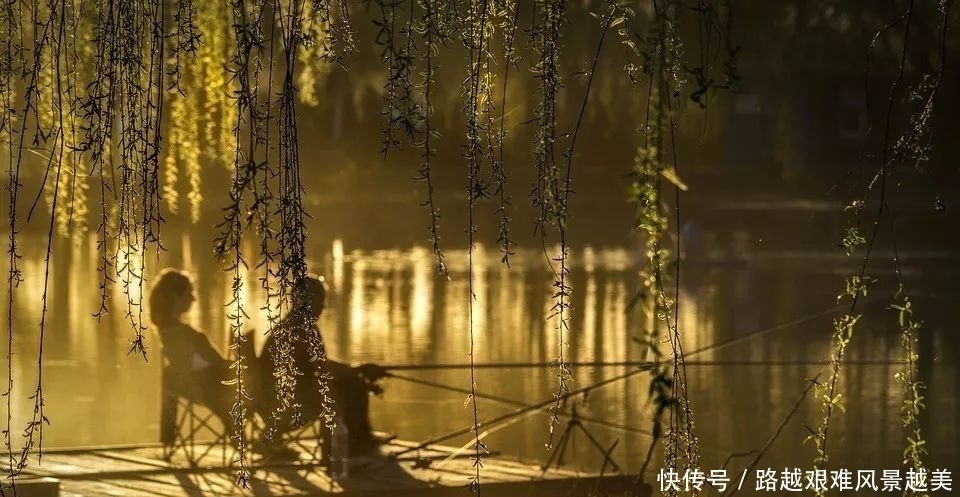 感情|为人处事,不要被感情的偏见所蒙蔽