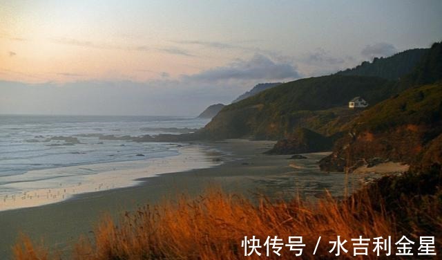 桃花|桃花闪耀,挚爱相迎,满目柔情,心心念念,再续甜蜜恋情