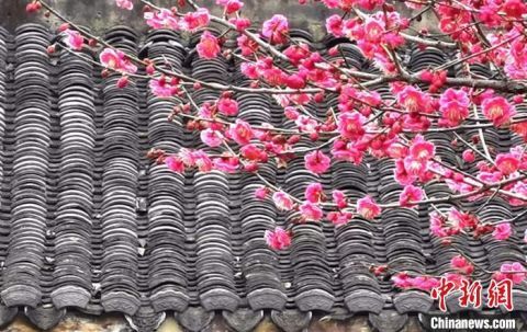 杭州：春节假期 西湖西溪景区游人如织