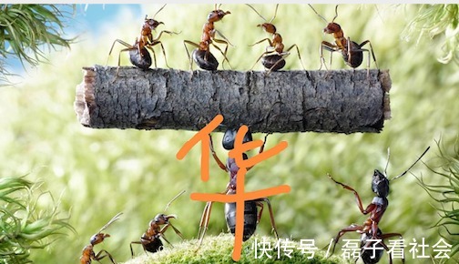 大灣區(qū)哥哥家的良心黑店，達咩