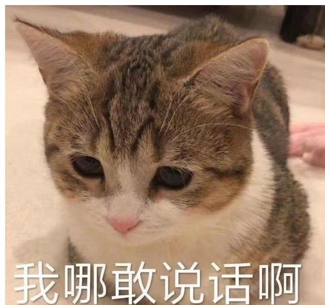 TTG|QG放弃治疗被零封，TTG和TES捡漏当大哥