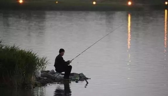 钓友们|找到8个公认的“鱼窝”,可以从早钓到晚,野钓渔获满满不是梦