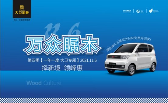 五菱神车MINI带回家|11.6大卫地板万众瞩木（第四季）| 于大卫