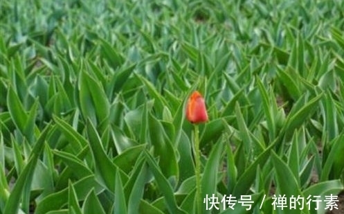 晏殊|唯美诗词名句100句,每一句都是精华中的精华