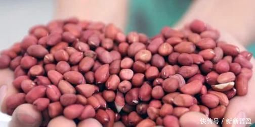 生花生、熟花生哪种更健康?二者的营养竟差如此多!多数人吃错了