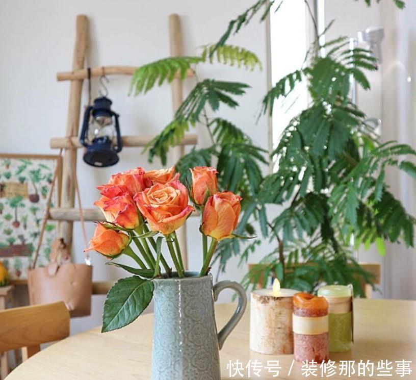 小两口之家,全屋布满绿植鲜花,把生活过成了诗,太美太治愈了